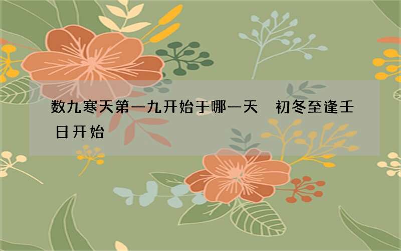 数九寒天第一九开始于哪一天 初冬至逢壬日开始